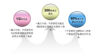 双百行动 专业信息咨询服务产品手册